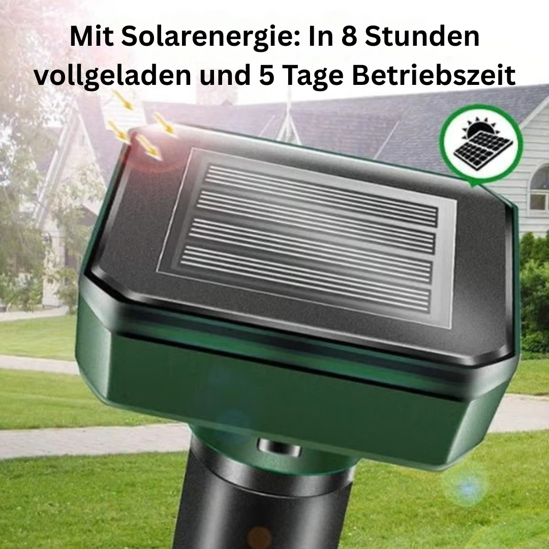 GrünWächter™